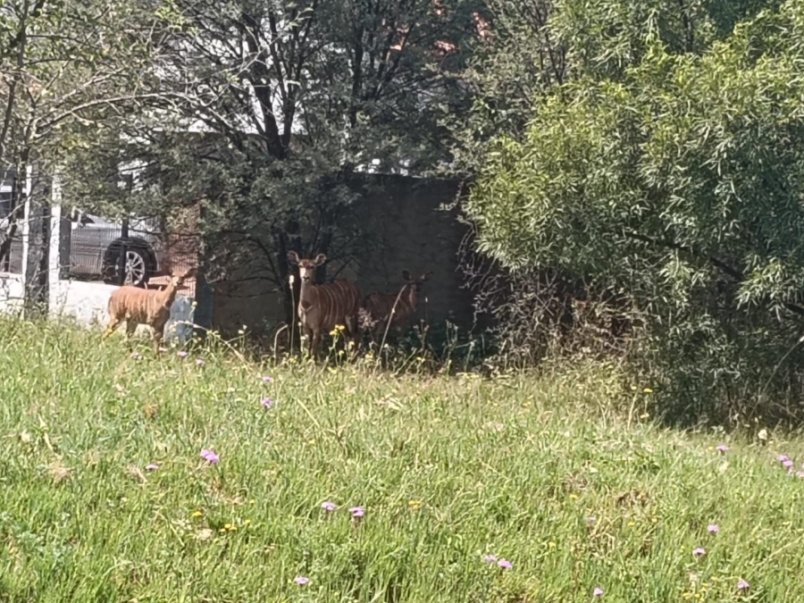 Commercial Property for Sale in Hartbeesfontein North West